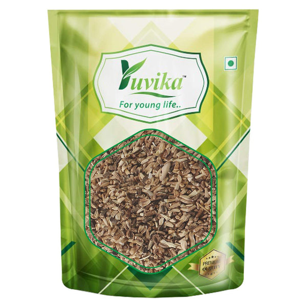 Yuvika Herbs YUVIKA Kasni Seeds - Cichorium Intybus - Endive | Chicory (200 GM)