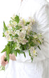30 stem random mix Rainbow Alstroemeria Fresh Cut Flowers Gift for Home Birthday Anniversary Get Well Sympathy