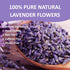 Ovikaso Tea 16 (1 Lb), 100% , Lavender Tea, Ounce Natural Food Grade, For Tea, Baking, Crafts, DIY Beauty, Sachets