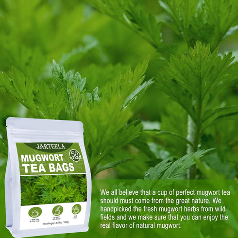 2g 50 Count Jarteela - Mugwort Tea Bag, x - Pure Mugwort Herb - Natural Herbal Tea Bags for Digestion - Non-GMO
