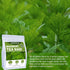 2g 50 Count Jarteela - Mugwort Tea Bag, x - Pure Mugwort Herb - Natural Herbal Tea Bags for Digestion - Non-GMO