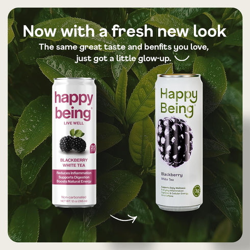 12oz (4 Pack) Happy Being Blackberry White Tea Antioxidant & Polyphenol Rich, Infused with Turmeric, Elderberry
