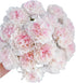 38 Fresh Cut Flowers Yukarri cherry Carnations Stems Hydroponic Flower Arrangement Gifts for home decoration birthdays