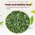 TEAERPKLAE 2.82/80minced Dried Chopped Green Onions onions driedchives seasoningscallions chopped Gourmet Spring Green