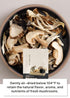 5 5-6g 8 Packs Korean Food Organic Dried Mixed Mushrooms - Premium Varieties, Low-Temperature Dried, x