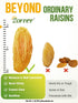 Gummy (2LB Pack 1) Zorrer Premium Golden Raisins, Seedless Grape Dried Fruit Snacks, No Sugar Added, No Preservatives