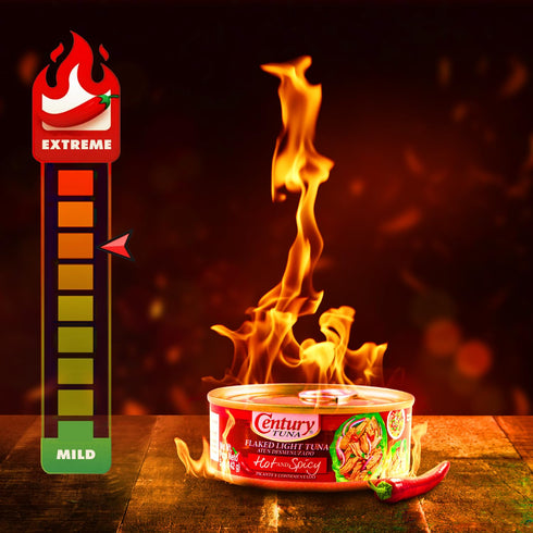 3 5 oz (Pack 6) Century Tuna Hot & Spicy Flaked Light Tuna in Oil | High in Protein and Rich in Omega DHA Canned Tuna