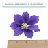 3 Count Global Sugar Art Clematis Sugar Cake Flowers, Light Purple, by Chef Alan Tetreault