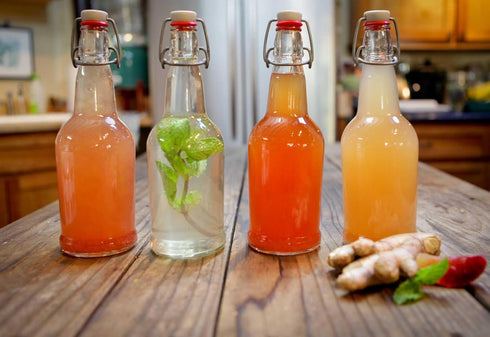 The Spirit Of The Forest Live DORMANT ENDLESS Fresh Water Kefir Grains DIY Fermented Probiotic Drink Enhances Gut