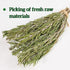 CYHJTCHS 20g (25 Dried Whole Rosemary Sprigs Bulk, Pcs), Premium Fresh Aroma Sprigs with Intact Rosemary Leaves