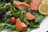 2 Pack Premium Quality Wild Canadian Pacific Smoked Sockeye Salmon Fillet Gift