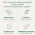 16 Traditional Medicinals Organic, Throat Coat Tea, Eucalyptus & Slippery Elm - Supports Respiratory and Throat Health