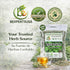 (4 oz) 100% Estafiate Herbal Tea Natural Mexican Mugwort (Artemisia ludoviciana) Traditional Vitality & Digestive