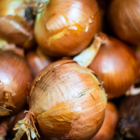 1 (Pack 2) Frontier Organic Chopped Onion, Pound, Dried & Chopped Sweet Organic White Onion, Kosher, Sustainably Grown