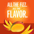8.4 OZ, 24 IZZE Sparkling Water Juice Beverage Blend, Mango, No Sugar Added, FL Cans