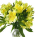 30 stem random mix Rainbow Alstroemeria Fresh Cut Flowers Gift for Home Birthday Anniversary Get Well Sympathy