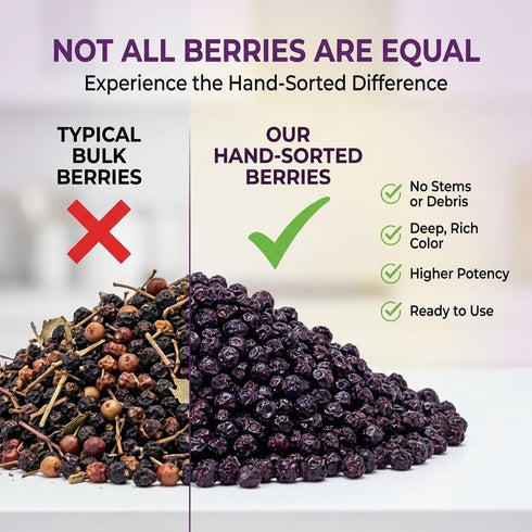 1lb Immune Gummies, Dried Elderberries - Bulk - Dried Mixed Fruits Hand-Sorted, Wildcrafted, Natural, Non-GMO, European