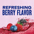 101.4 Oz (Pack 6) Ocean Spray ZERO Sugar Mixed Berry Juice Drink, Cranberry Juice Drink Sweetened with Stevia, Fl