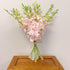 10 Athenas Garden Fresh Cut Pink Orchids Stems peachy Dendrobium Orchid Flowers