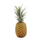 Fresh Produce Pineapple, 1 Each