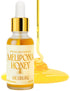 Jimerito Stingless Bee Melipona Honey Drops 30ml 100% Pure and Unprocessed Ancestral