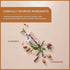 (6 Pack 120 Wissotzky Almond Charm Herbal Tea Bags - Tea Bags) | Caffeine Free | AKA Chemdat Hashaked | Delicious Aroma
