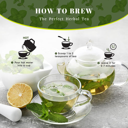 Oxify 16 oz (16 oz, Organic Peppermint Leaves Herbal Loose Tea- Peppermint)