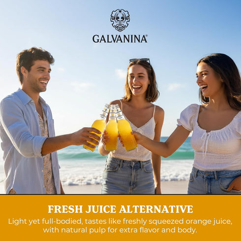 12 oz (Pack 1) Galvanina Orange Premium Organic Italian Sparkling Soda, fl Glass Bottle of | Classic Sicilian Orange