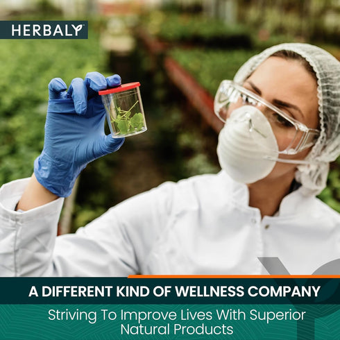 HERBALY 30 Glucose Functional Tea - Vitality & Wellness - Gymnema Sylvestre, Ceylon Cinnamon, Bitter Melon, Dandelion