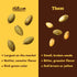 2 Lb Nuts.com Roasted Pepitas Bag, Salted No Shell Pumpkin Seeds, Healthy Snack for Adults & Kids, Rich in Protein