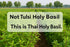 20g Hida Beauty Dried Culinary Herbs Thai Holy Basil Leaves