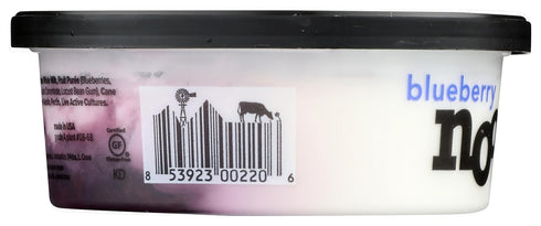 8 OZ NOOSA Blueberry Yoghurt