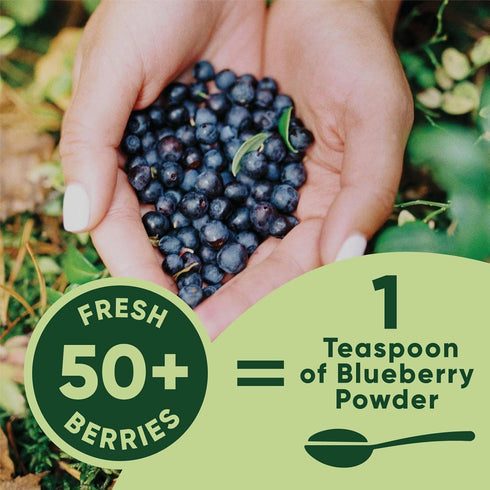 5 Wild Blueberry Powder Organic Ounce Bag USDA Certified & Lab Tested - Freeze Dried Blueberries No Added Sugar