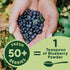 5 Wild Blueberry Powder Organic Ounce Bag USDA Certified & Lab Tested - Freeze Dried Blueberries No Added Sugar