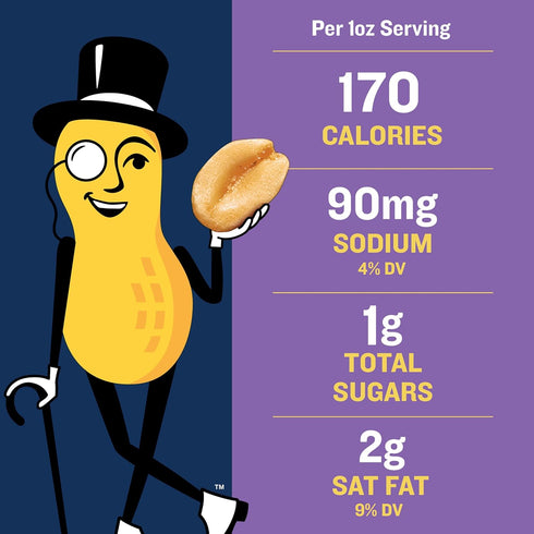 10.3oz (1 PLANTERS Salted Mixed Nuts, Party Snacks, Plant-Based Protein Canister)