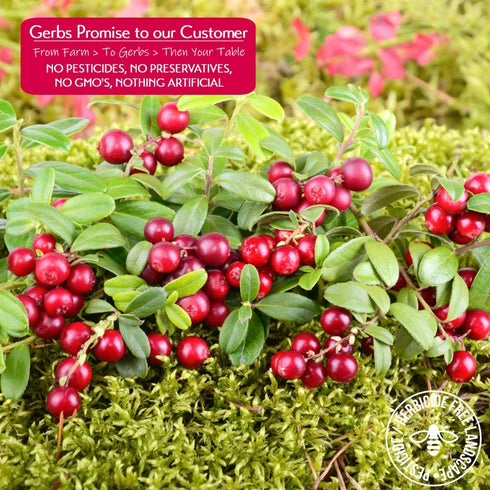 2 lbs. 14 Gerbs Dried Sweetened Cranberries | Unsulfured, No Artificial Additives, Resealable Bag | Naturally Tart