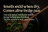 20g Hida Beauty Dried Culinary Herbs Thai Holy Basil Leaves