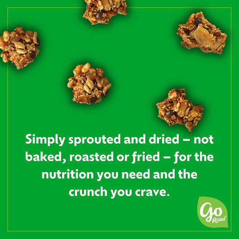 8oz Go Raw Chocolate Peanut Butter Snacking Granola, Pouch