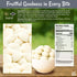 200pcs/1lb Packed Oh! Nuts Yogurt Covered Raisins - - Sweetened Dehydrated Creamy Yogurt Fruit Bites - in New York