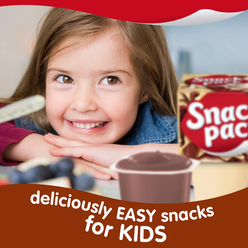 Snack Pack Pack, 12 Count, 6 Pack Chocolate and Vanilla Pudding Cups Family