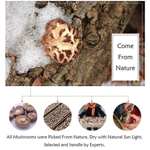 16 oz., 4-5cm FUYUKI Dried Mushrooms Dried Shiitake Mushrooms Dehydrated Mushrooms Premium Top Grade Shiitake Mushrooms