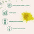 8oz 100% Organic Pineapple Powder, | Natural Fruit Powder | Freeze-Dried Pineapples Source | No Sugar & Additives |