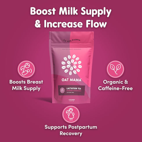 Oat Mama Lactation Tea for Breastfeeding Moms - Blueberry Pomegranate | Organic Lactation Support & Postpartum Recovery