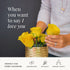 24 BloomsyBox - Yellow Roses - Long Stems,Long Lasting, Hand-Tied in Eco-friendly,Vase Not Included, Fresh Flowers
