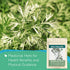 (4oz) Mugwort Tea Organic Loose Leaf Mugwort Herb - Artemisia Hierba Seca Organica Dried Mugwart Leaves
