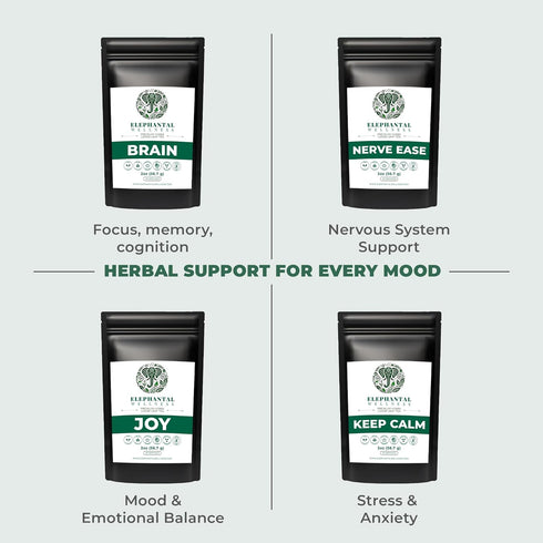 Elephantal Wellness 2oz 20 Premium Brain Herbal Tea | Nootropic Focus & Mental Clarity with Ginkgo, Bacopa, Gotu Kola