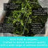 1.5 oz Oceans Balance Sea Lettuce Dried Seaweed Whole Leaf Seaweed Organic, Perfect for Keto Diet, Paleo Diet