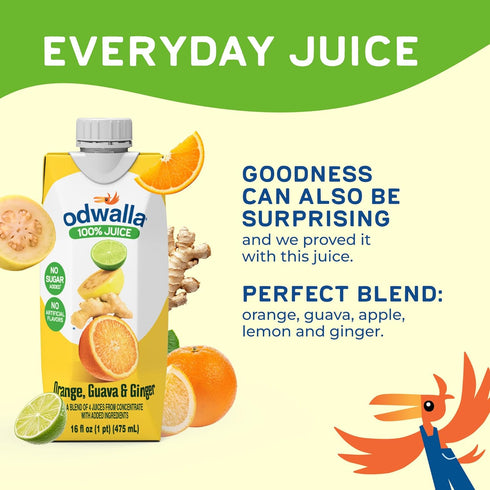 16 oz (12 Pack) Odwalla Orange, Guava, Ginger Juice Natural Ingredients, No Added Sugar, No Artificial Flavors