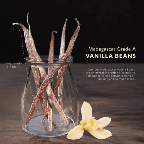 (10) Madagascar Vanilla Beans - Vacuum Sealed Grade A Vanilla Pods - Rich, Creamy Flavor & Aroma -Great for for Baking