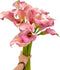 Next-day delivery 10 Calla Lilies Fresh Cut Flowers Bouquet Prime Delivery Gifts